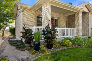  Photo 44
