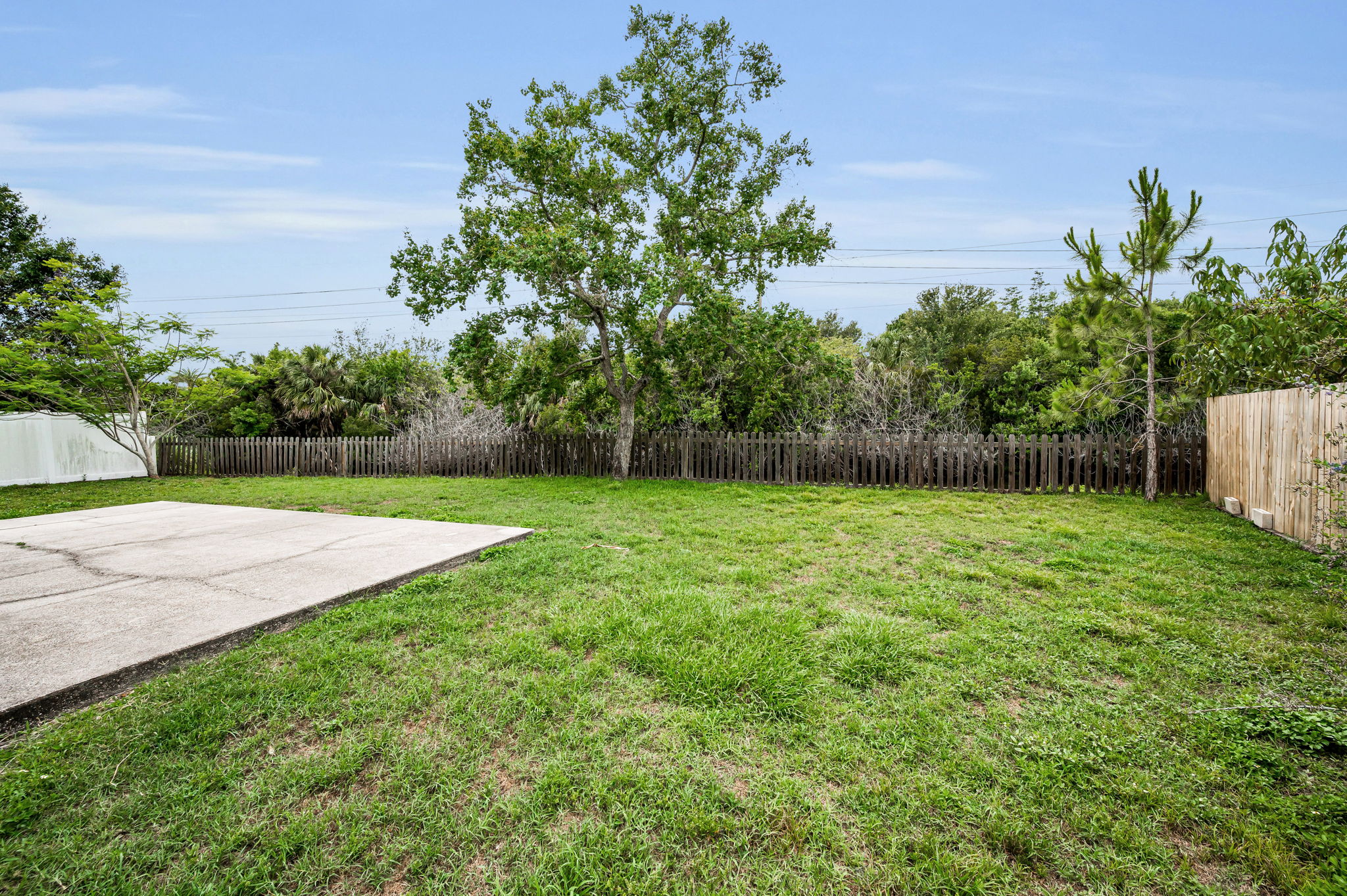 Backyard1