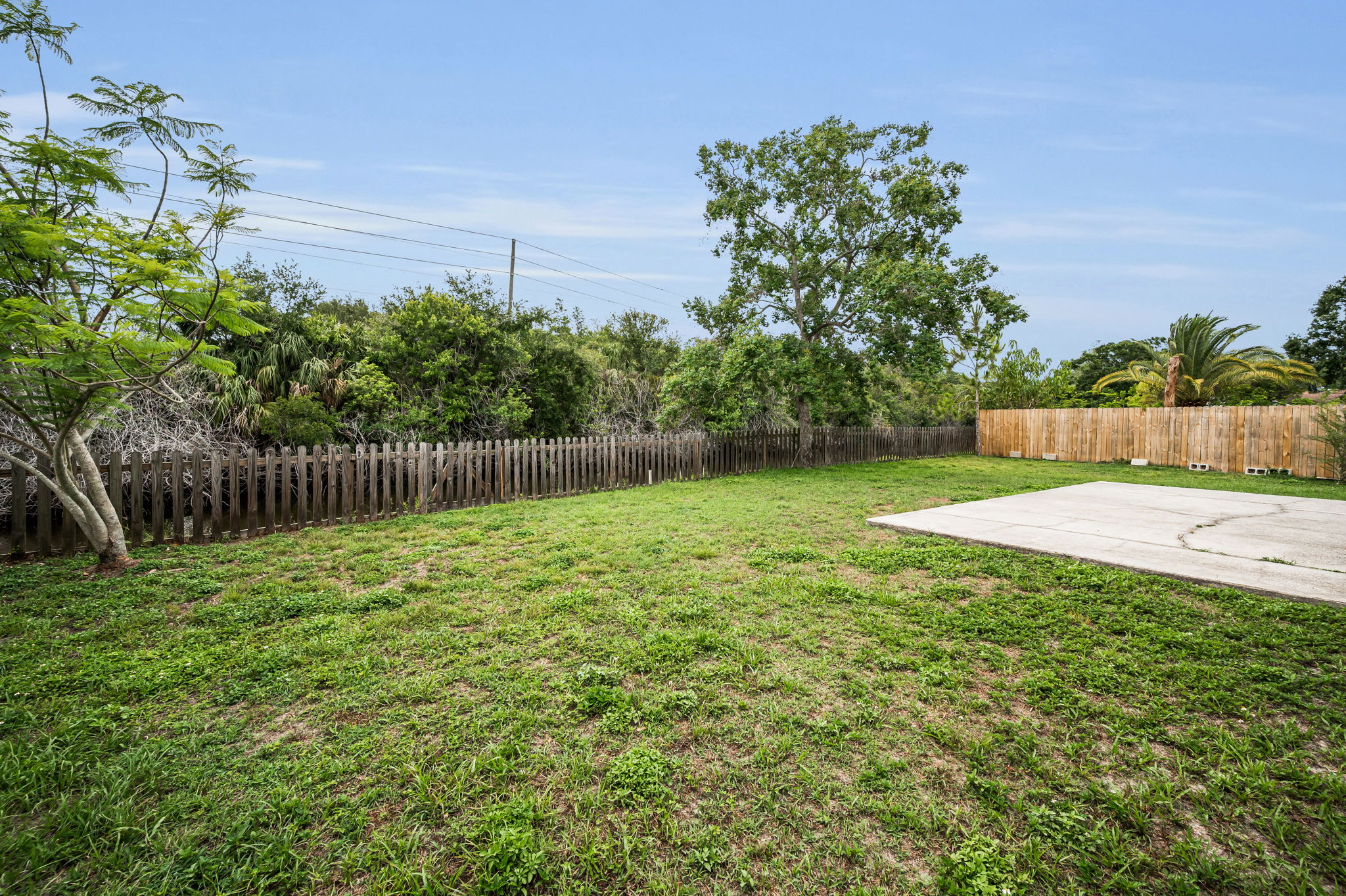 Backyard5