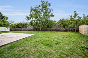 Backyard1