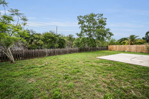 Backyard5