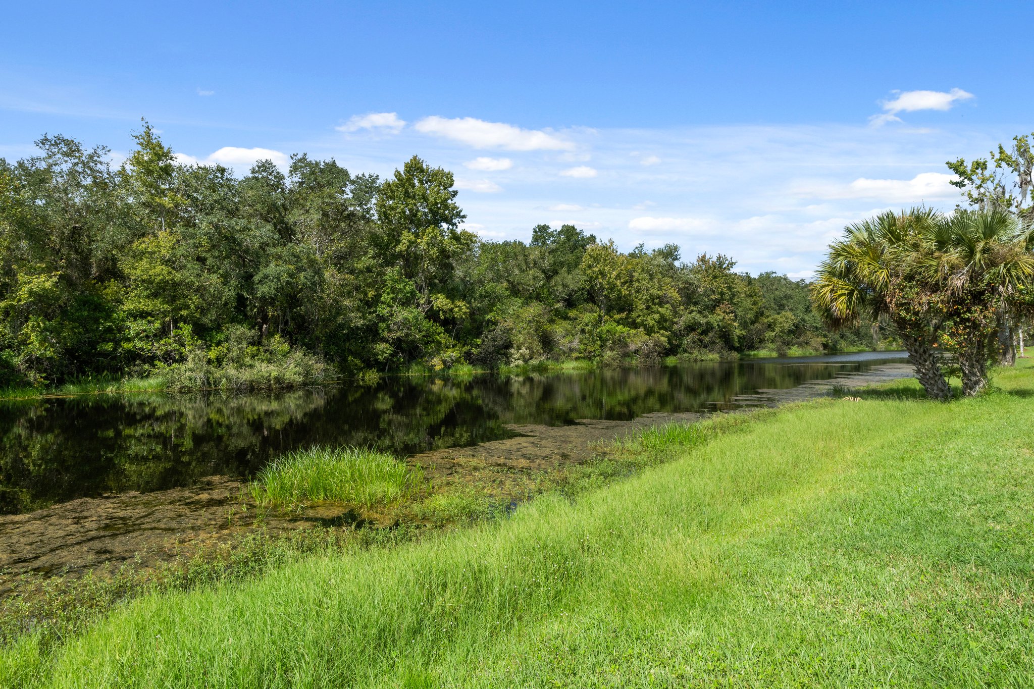 N Golf Harbor Path, Florida 34450, USA Photo 36