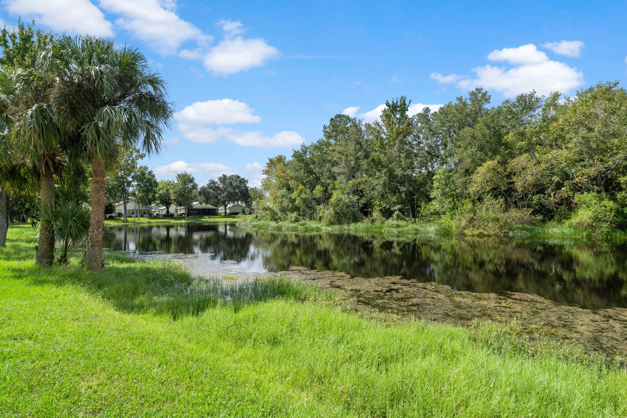 N Golf Harbor Path, Florida 34450, USA Photo 37