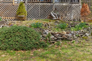  Photo 35
