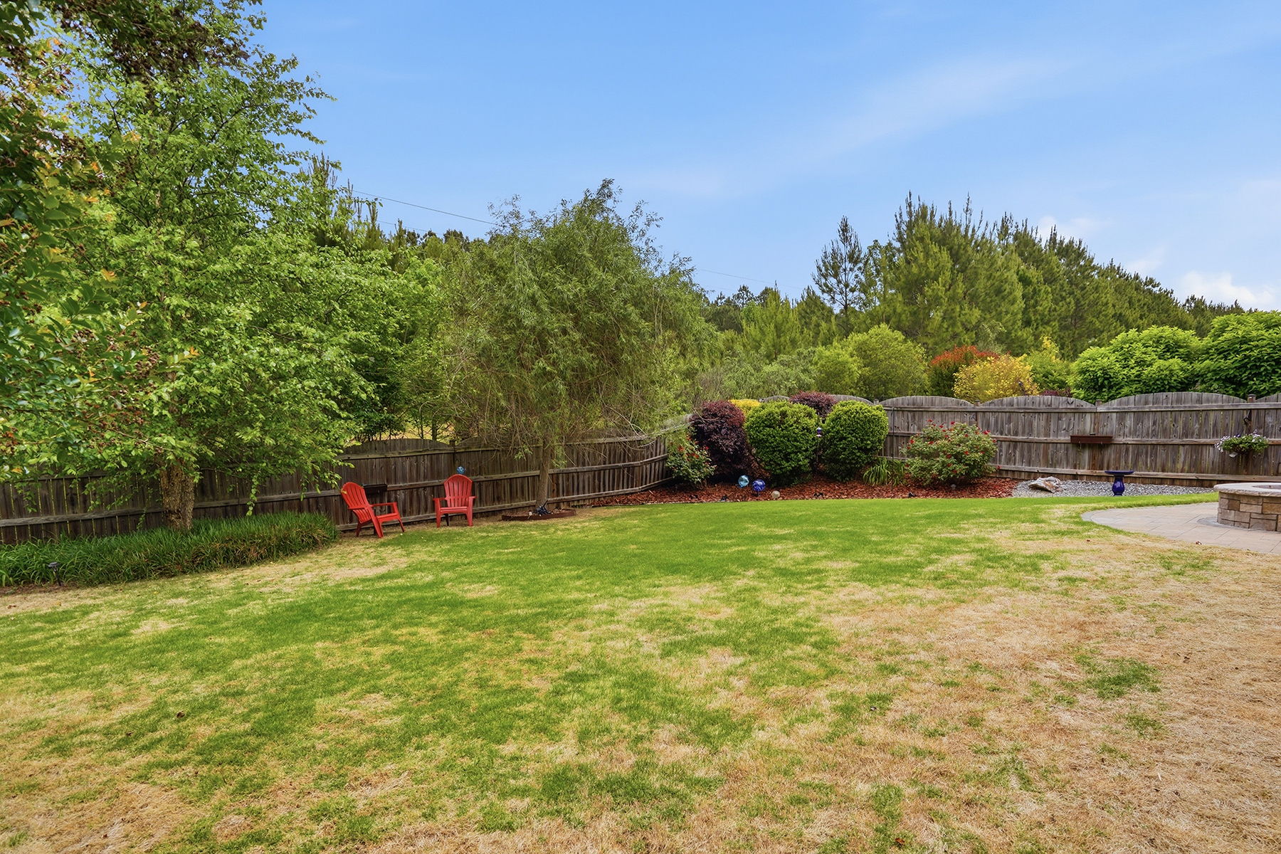Back Yard