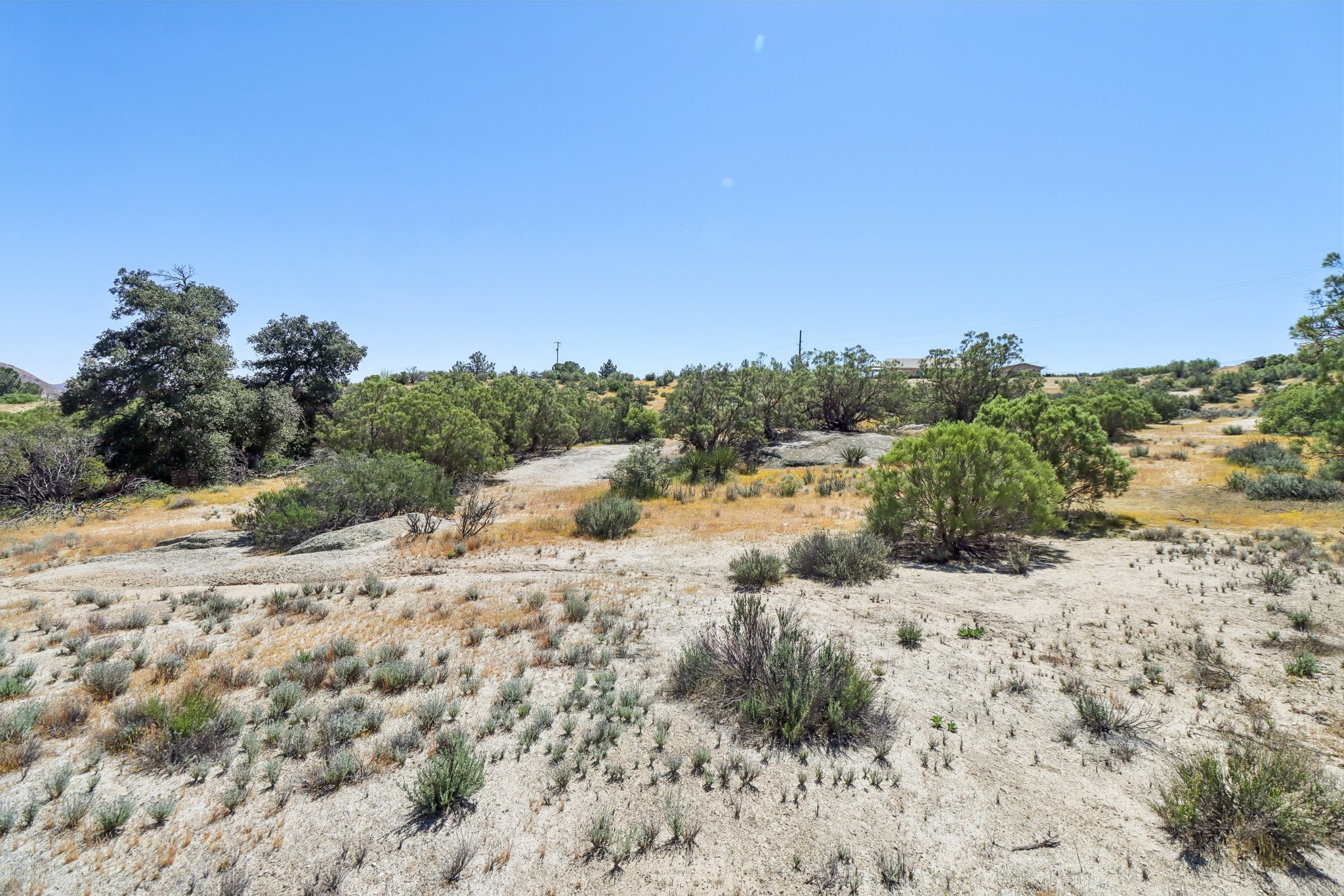 Ross Ave-S2803-054.jpg