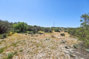 Ross Ave-S2803-055.jpg