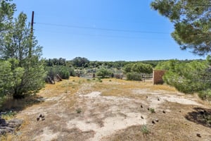 Ross Ave-S2803-059.jpg