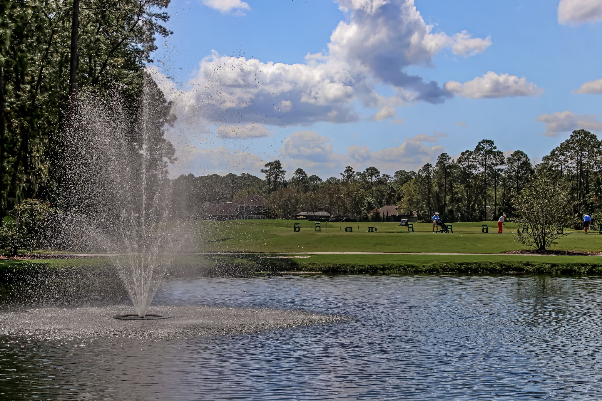 The Enclave at Eagle Harbor