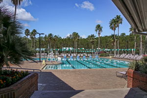 The Enclave at Eagle Harbor