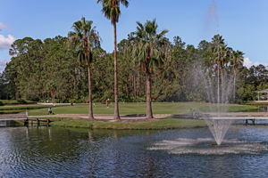 The Enclave at Eagle Harbor