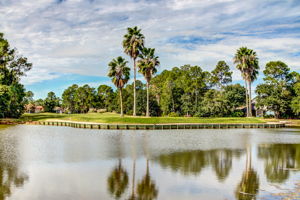 The Enclave at Eagle Harbor