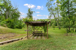  Photo 45