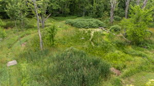  Photo 49