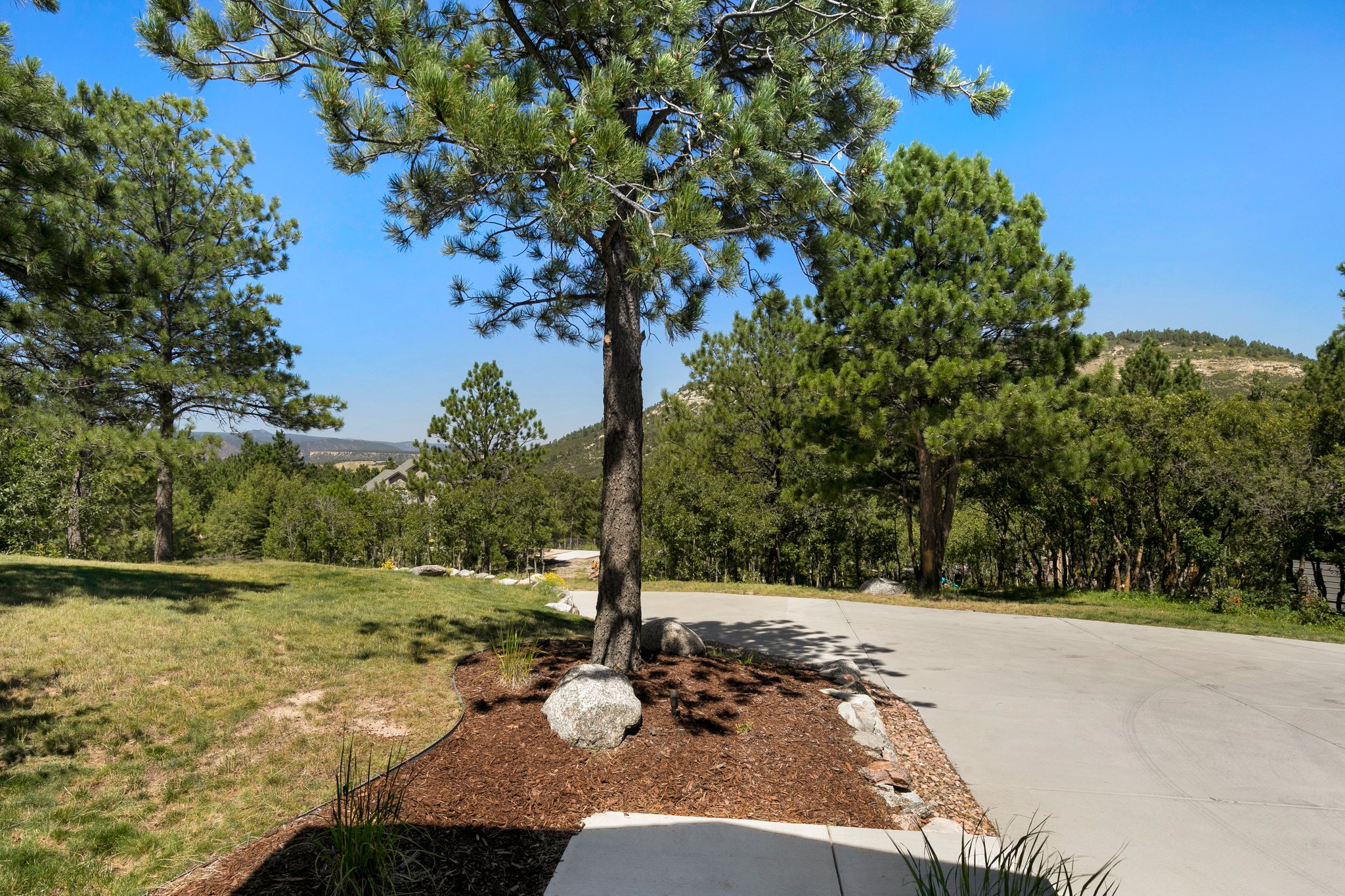 Front Yard