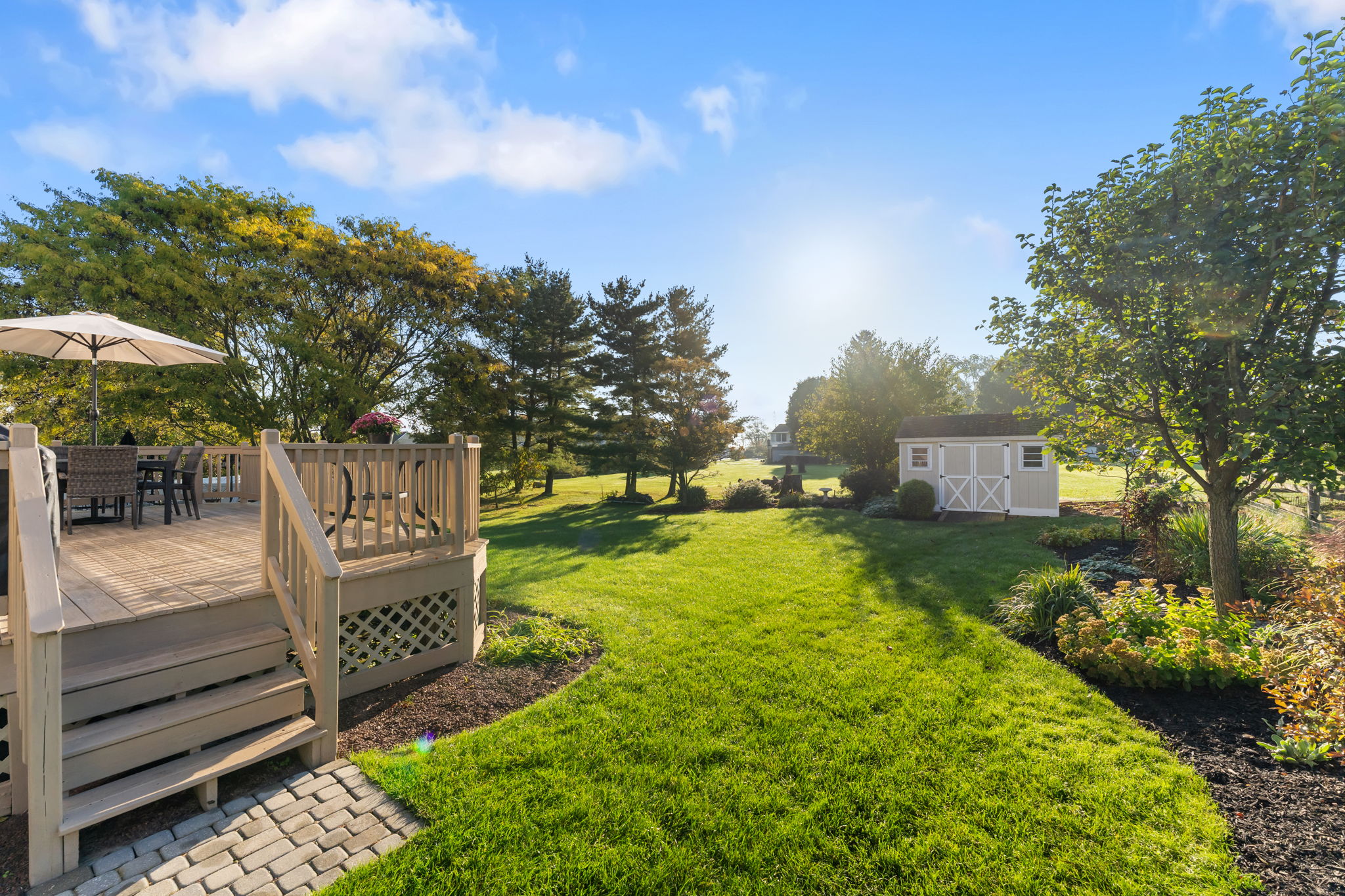 Deck / Backyard