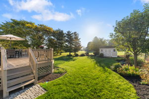 Deck / Backyard