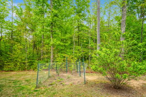  Photo 89