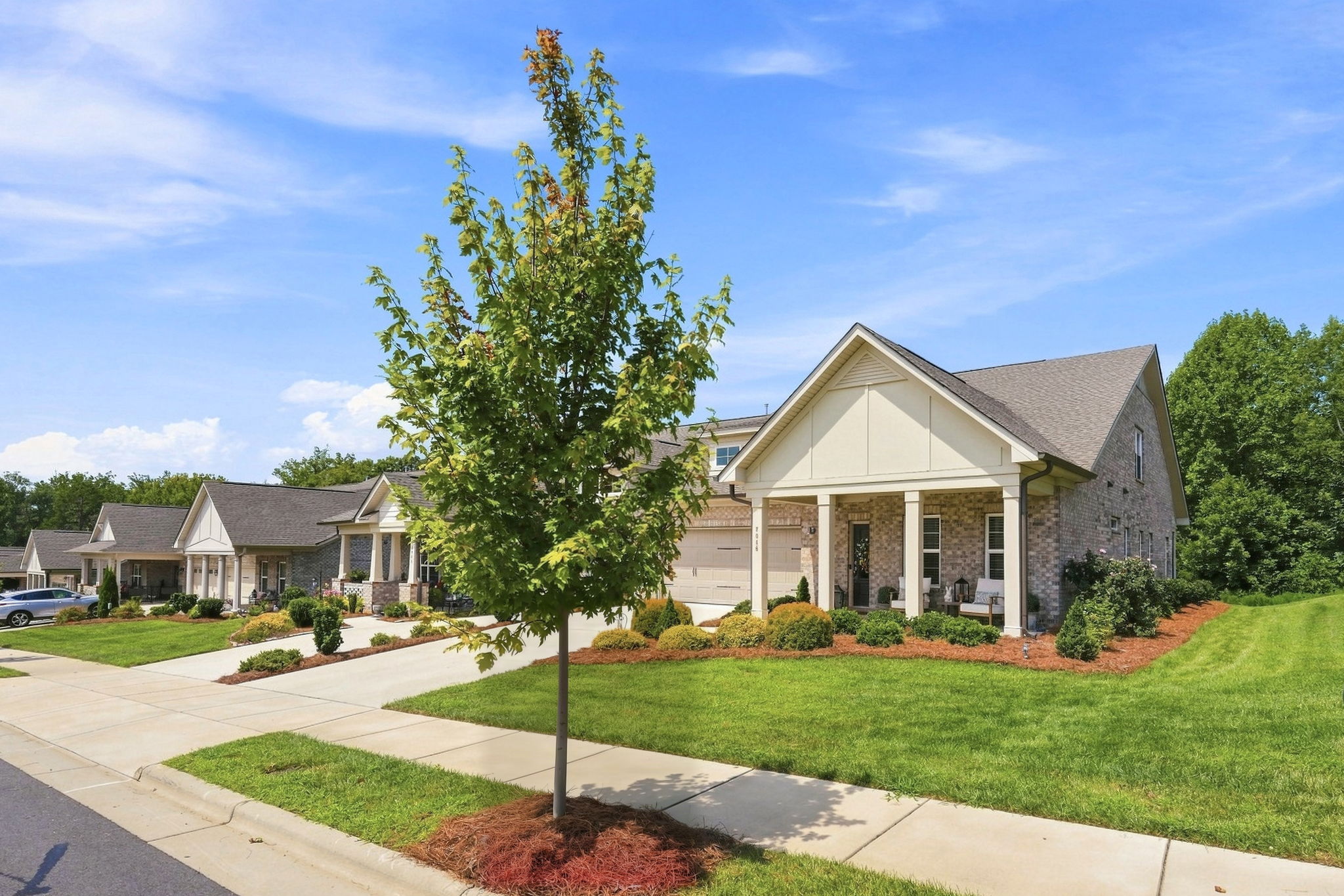 Front Yard