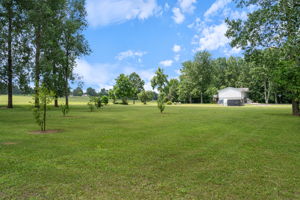  Photo 38