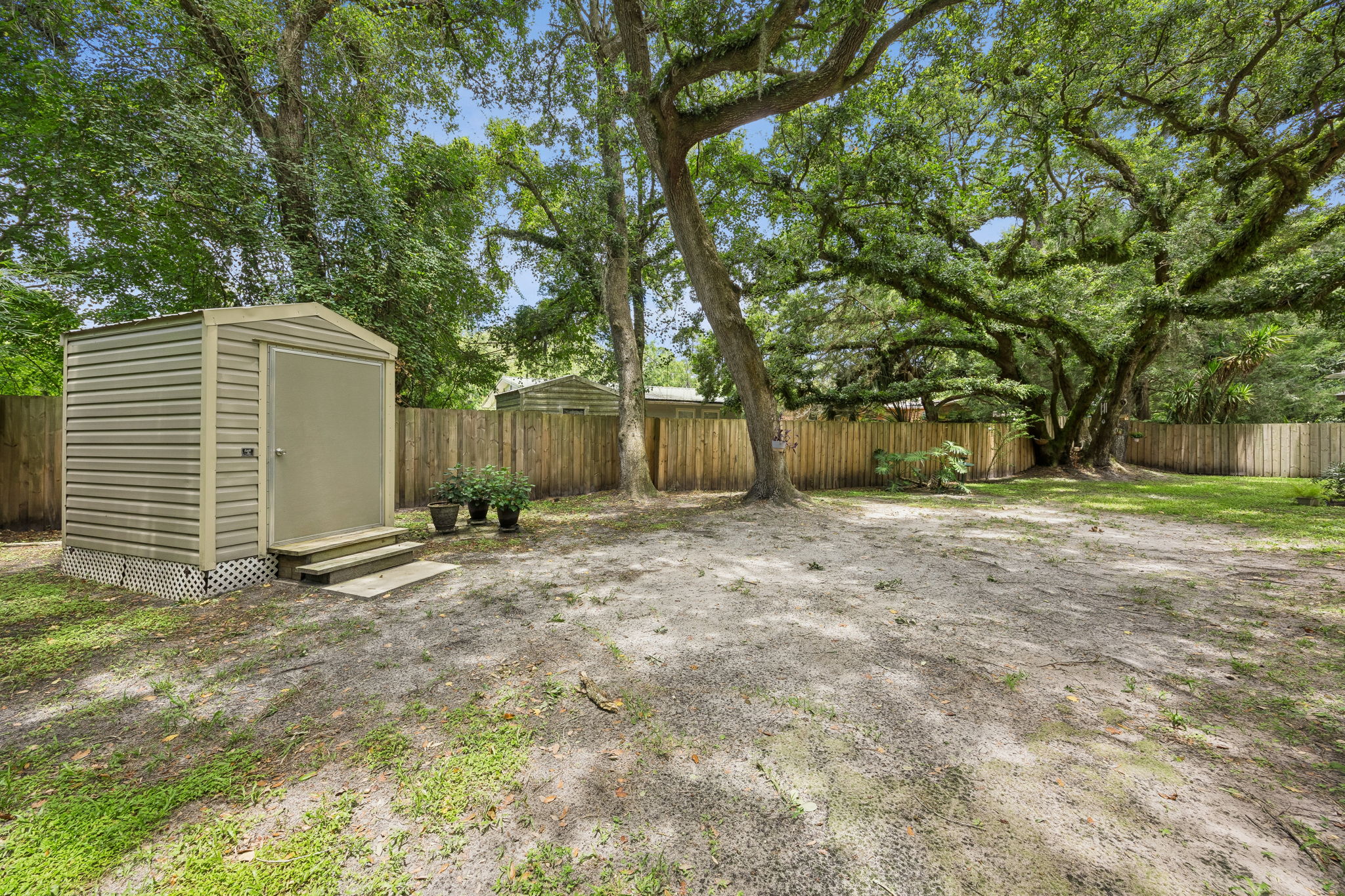Backyard