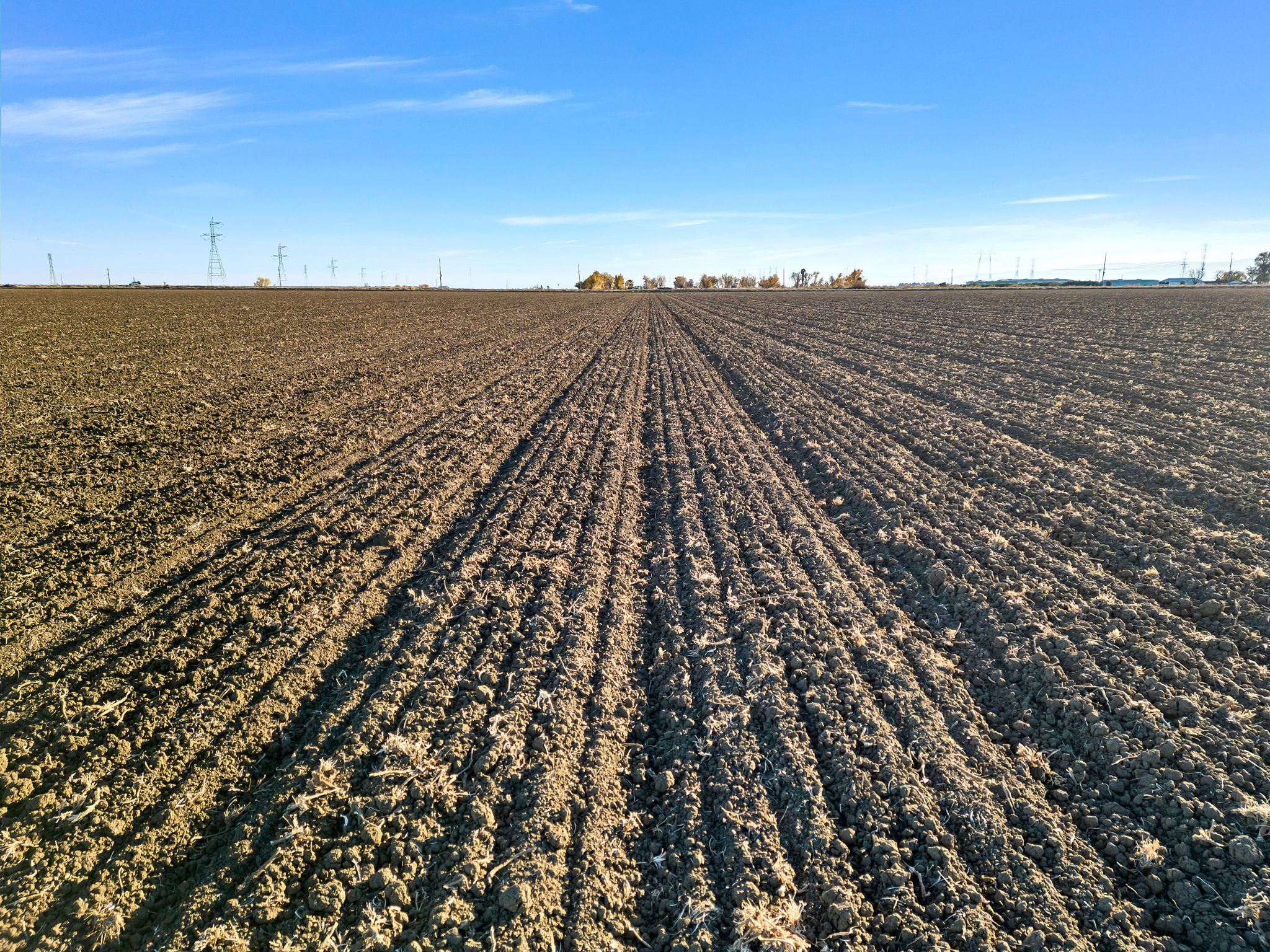 2023-12-11 - 20479 Co Rd 24, Woodland, CA 95695 15