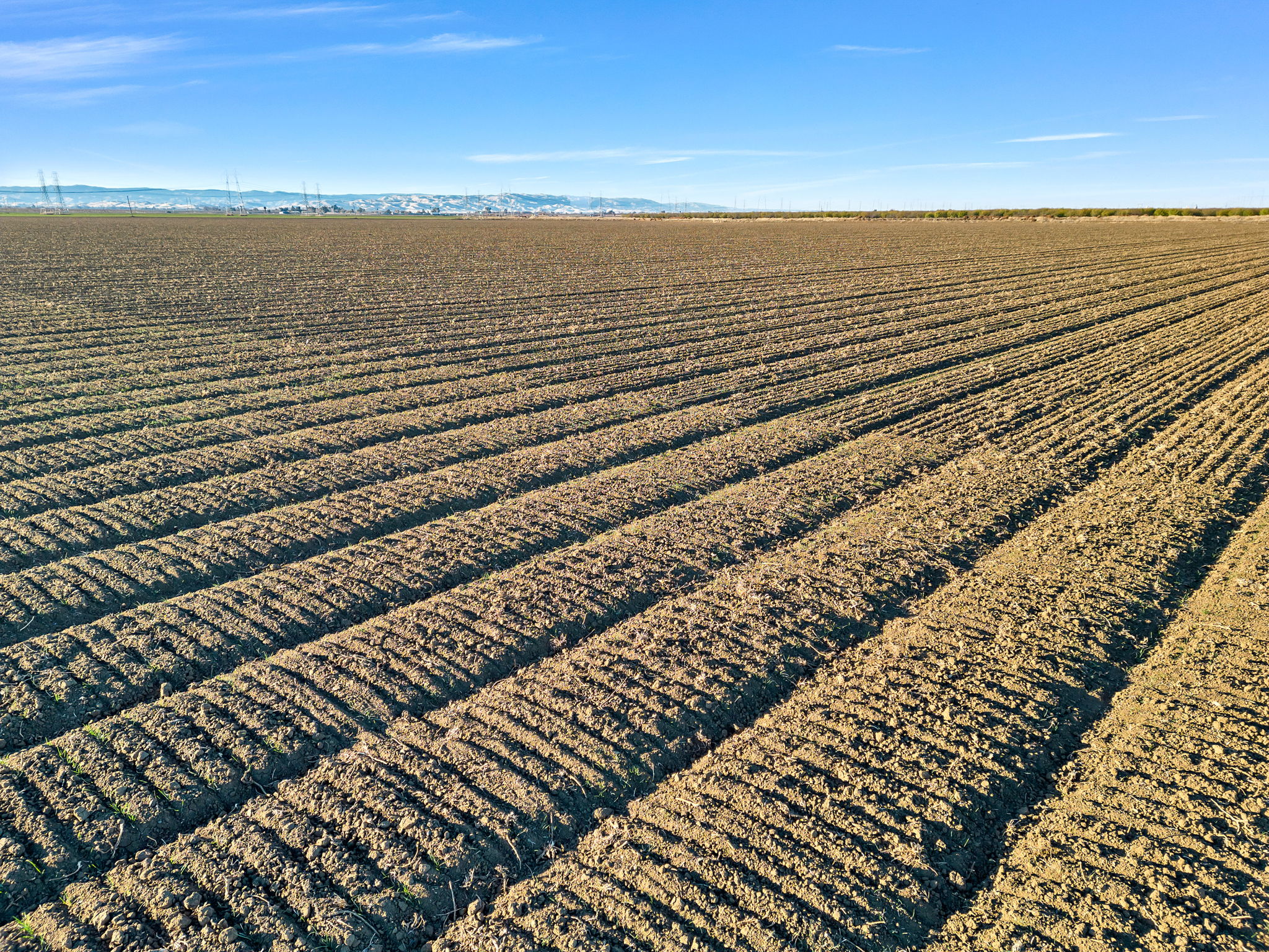 2023-12-11 - 20479 Co Rd 24, Woodland, CA 95695 09