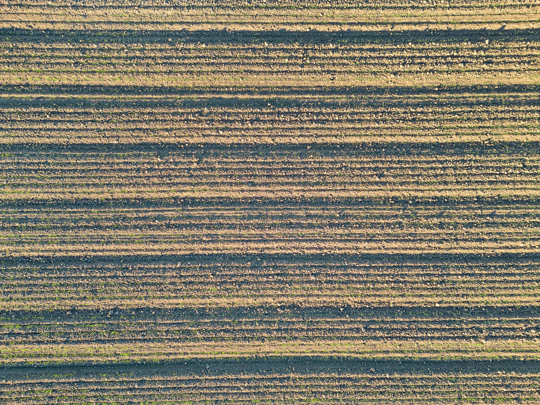 2023-12-11 - 20479 Co Rd 24, Woodland, CA 95695 20