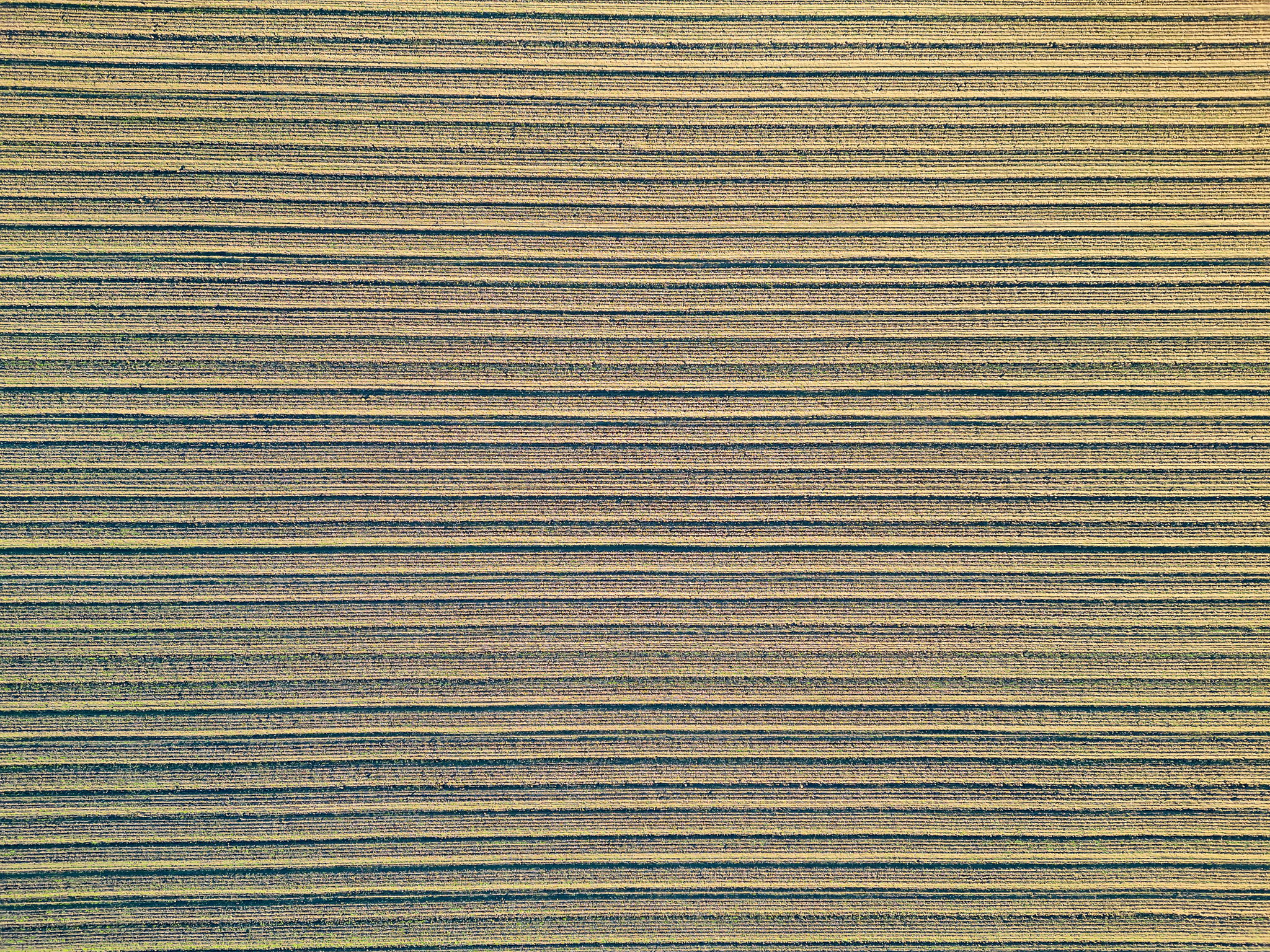 2023-12-11 - 20479 Co Rd 24, Woodland, CA 95695 19