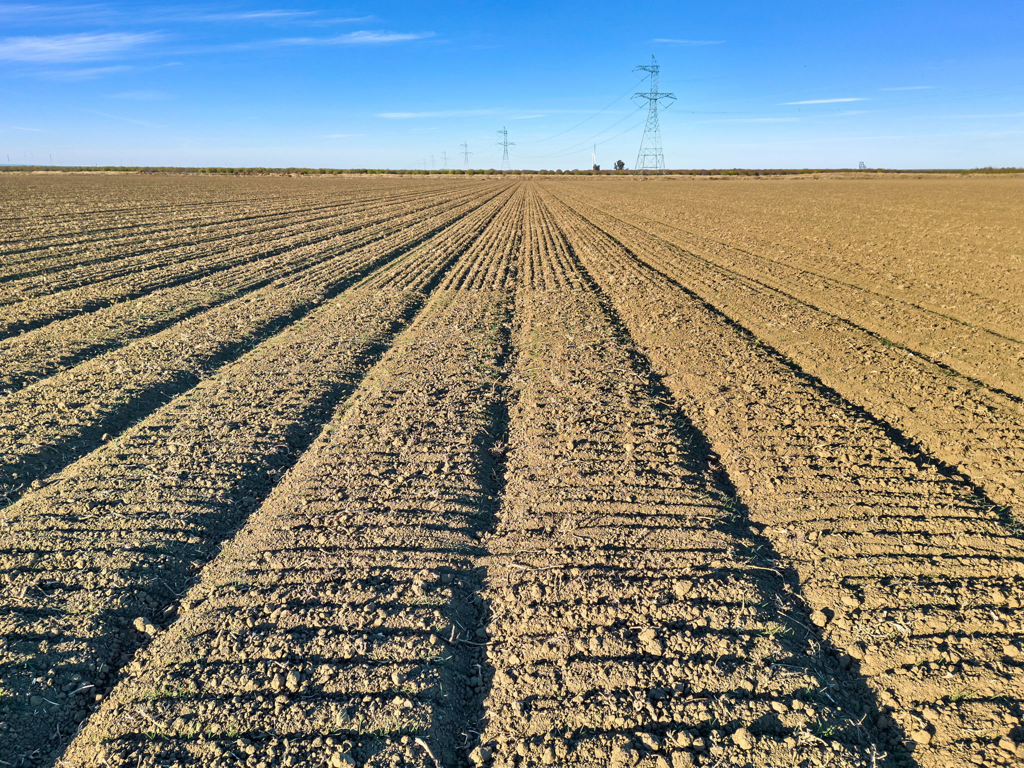 2023-12-11 - 20479 Co Rd 24, Woodland, CA 95695 10