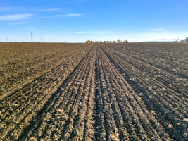 2023-12-11 - 20479 Co Rd 24, Woodland, CA 95695 15