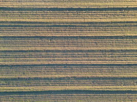 2023-12-11 - 20479 Co Rd 24, Woodland, CA 95695 20