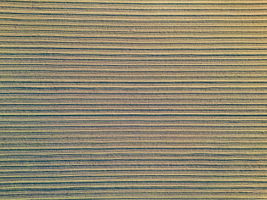 2023-12-11 - 20479 Co Rd 24, Woodland, CA 95695 19