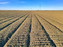 2023-12-11 - 20479 Co Rd 24, Woodland, CA 95695 10