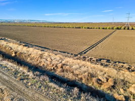 2023-12-11 - 20479 Co Rd 24, Woodland, CA 95695 12