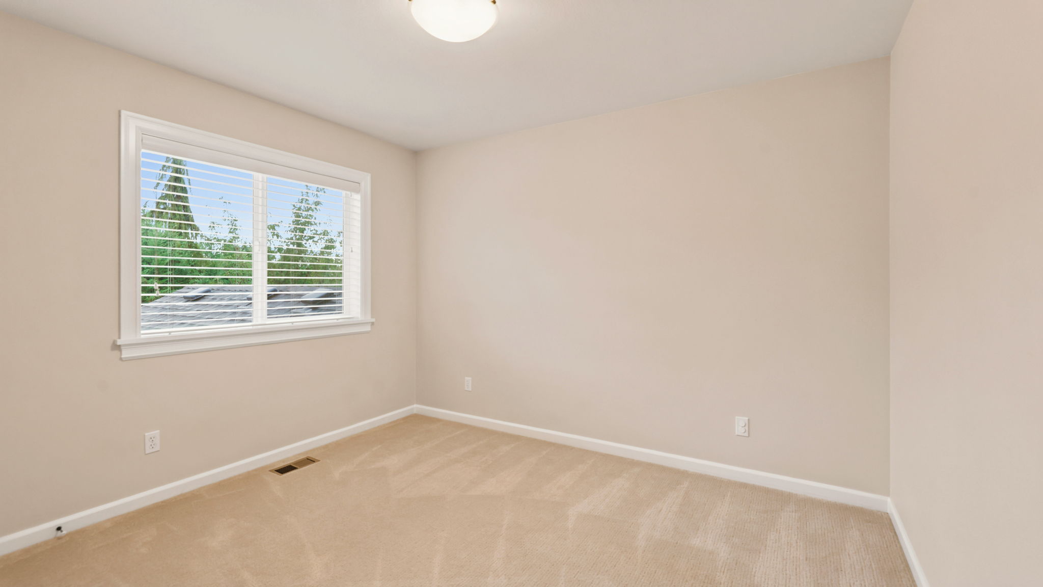  Photo 58