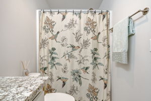 Guest Bath