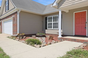  Photo 41
