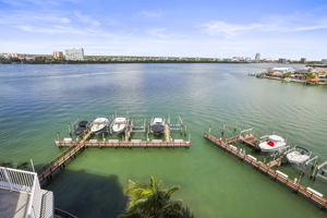 Roof View - 495A4319