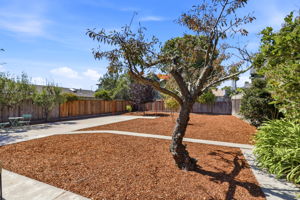 025_F8_205 Miramar Dr