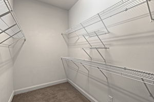  Photo 39