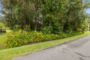 Side Yard