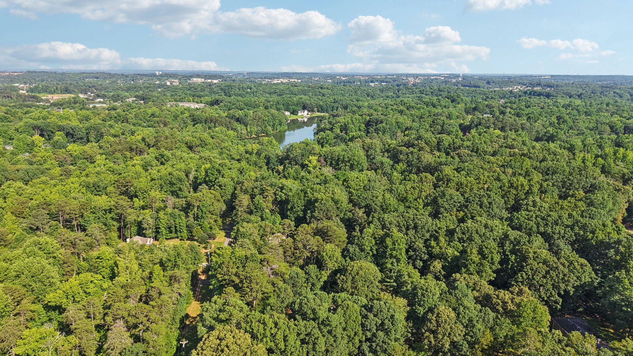 Pine Lake Dr-2406-106.jpg