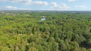 Pine Lake Dr-2406-106.jpg