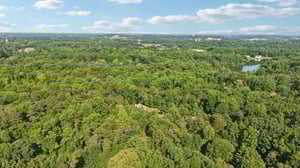 Pine Lake Dr-2406-107.jpg