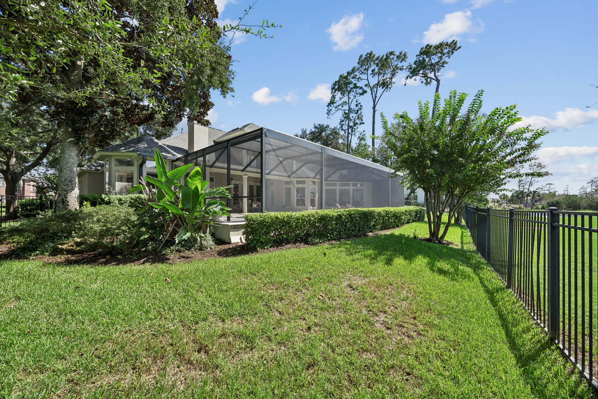 Backyard