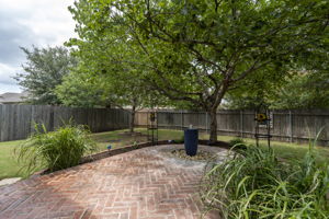 Backyard Oasis