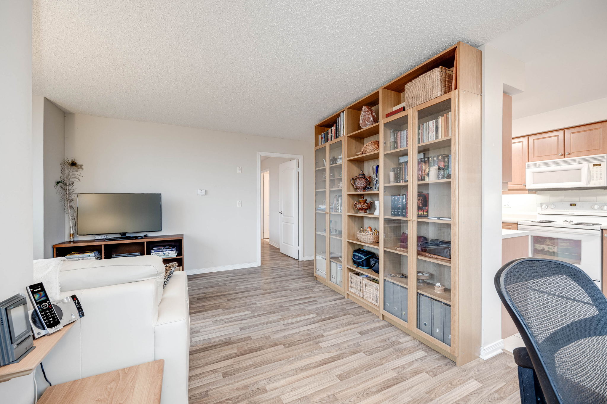 Toronto property showcase — delivered property photograph 10