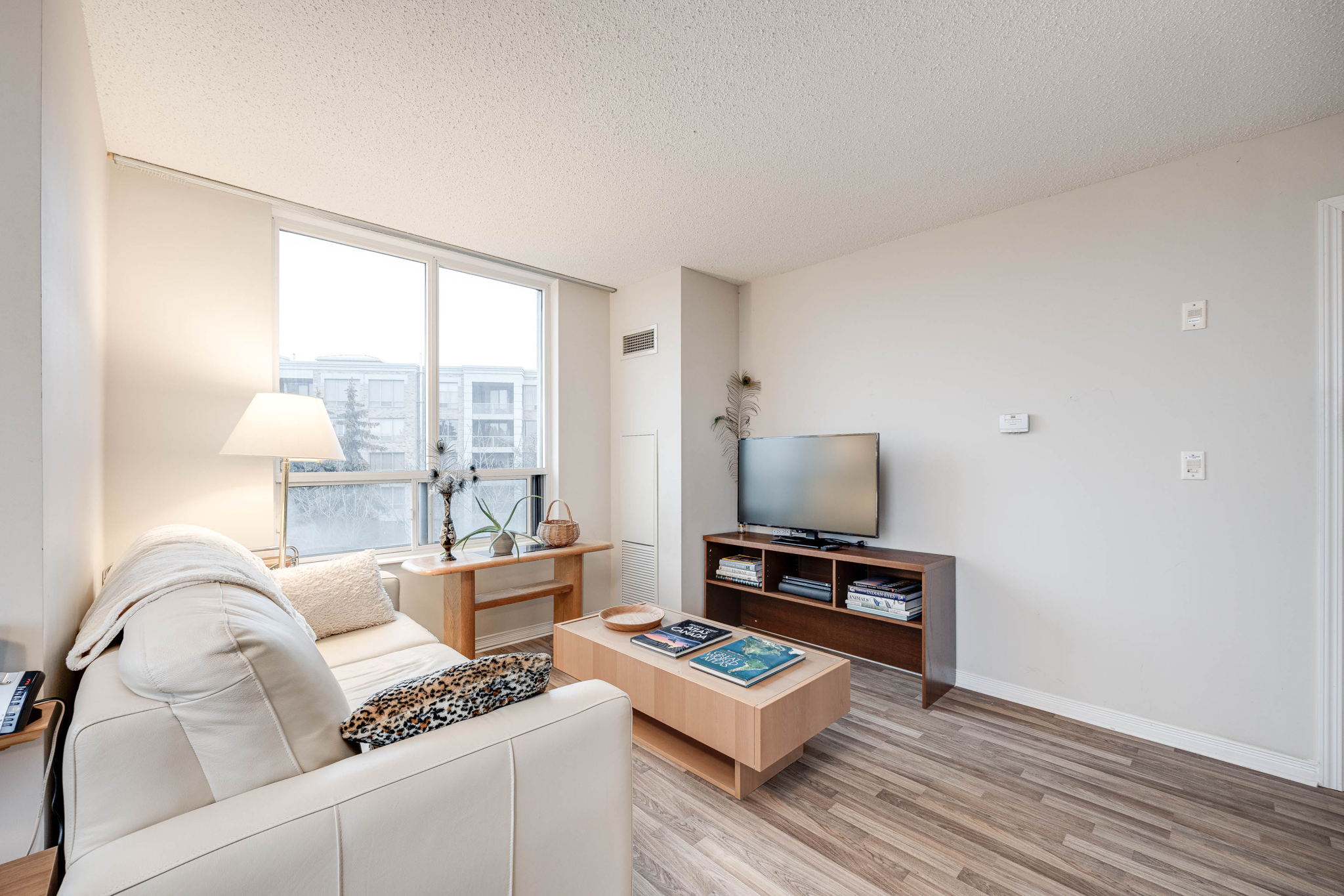 Toronto property showcase — delivered property photograph 6