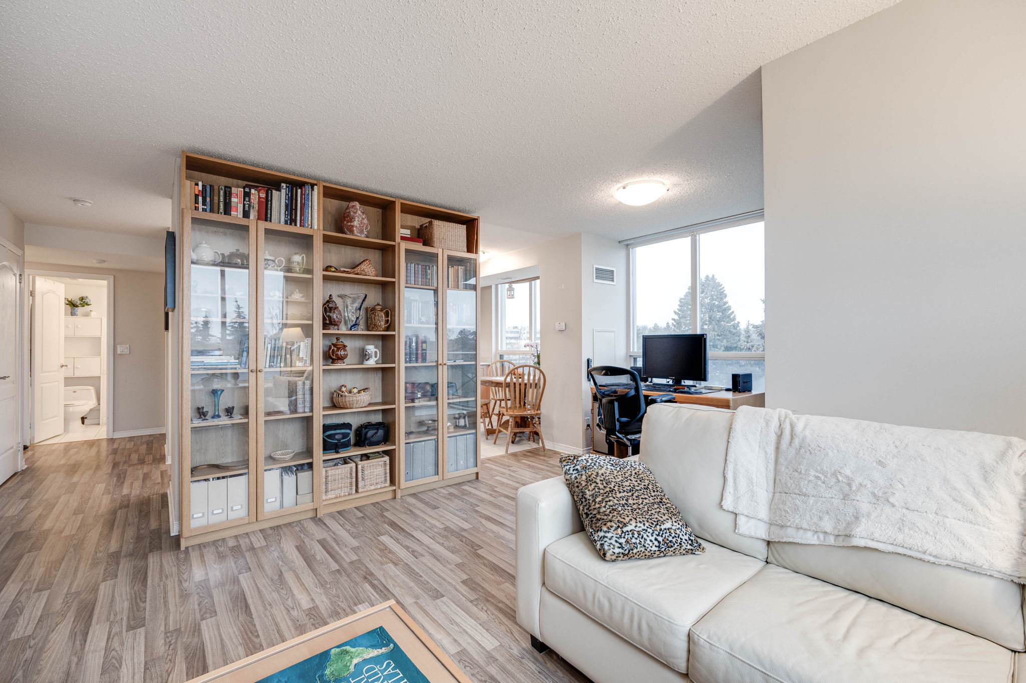 Toronto property showcase — delivered property photograph 8